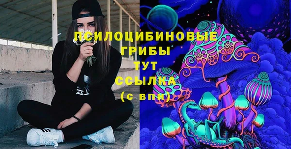 гидропоника Покров